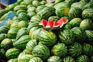 网红大瓜排行 独家爆料,独家爆料，揭秘幕后真相